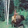 Guy On A Buffalo (Series) Guy On A Buffalo (Series)