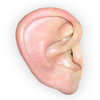 My left ear enjoyed this very much! My left ear enjoyed this very much!