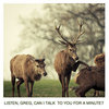 Animals Talking In All Caps Animals Talking In All Caps