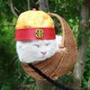 Shironeko / Basket Cat Shironeko / Basket Cat