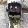 Eyebombing Eyebombing
