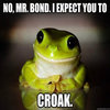 Therapy Frog Therapy Frog