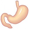 Stoma