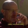 Walt