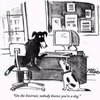 On the Internet, Nobody Knows You're a Dog On the Internet, Nobody Knows You're a Dog