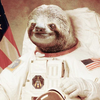 Astronaut Sloth Astronaut Sloth