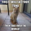 World Domination Cat/Evil Kitty World Domination Cat/Evil Kitty