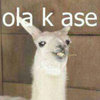 Ola K Ase