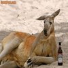 Sexy roo Sexy roo