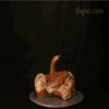 Time Lapse Photography Time Lapse Photography