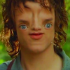 Sloth-Facing Sloth-Facing