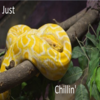 Just Chillin' Just Chillin'