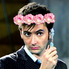 Flower Crowns Flower Crowns