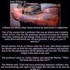 Marine Todd