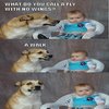 Dad Joke Dog Dad Joke Dog