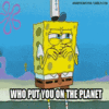 Who Put You On The Planet? Who Put You On The Planet?