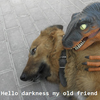 Hello Darkness, My Old Friend