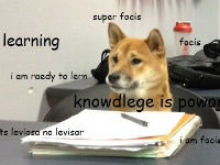 Shibe