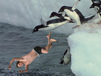 Jumpingrob