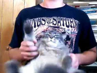 Deathmetalcat