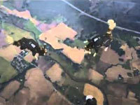Skydivingcats