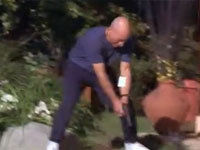 Patrickstewgardening