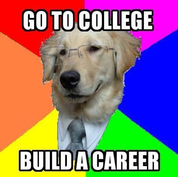 advice dog template barca fontanacountryinn com advice dog template