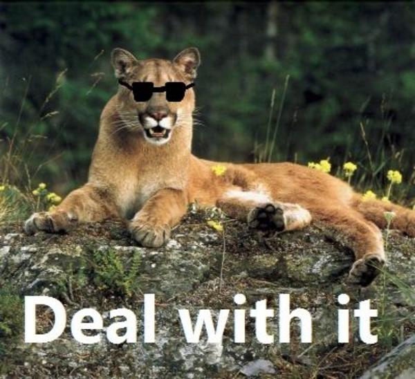 [Image 52619] Cougar/Cougar out of f***ing Nowhere! Know Your Meme