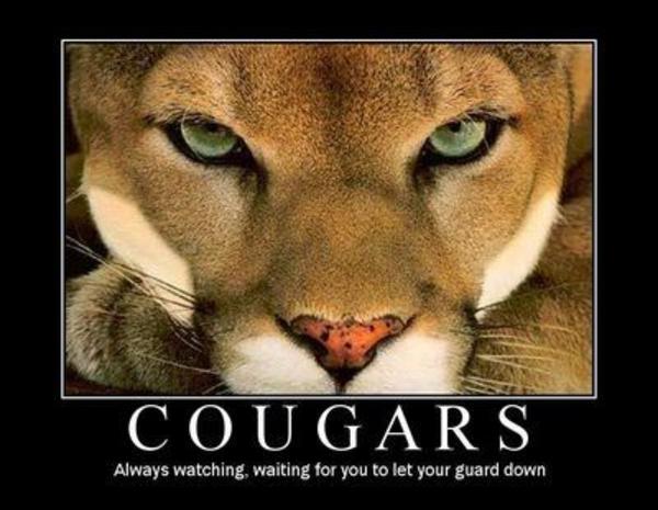mauled by cougar* image gallery know your meme CougarMotivational mauled by cougar* image gallery know your meme,Cougar Memes