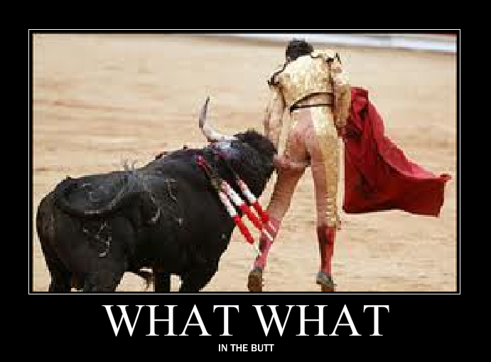 [Image 62756] What What (in the Butt) Know Your Meme