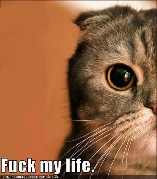 image-89506-fml-know-your-meme