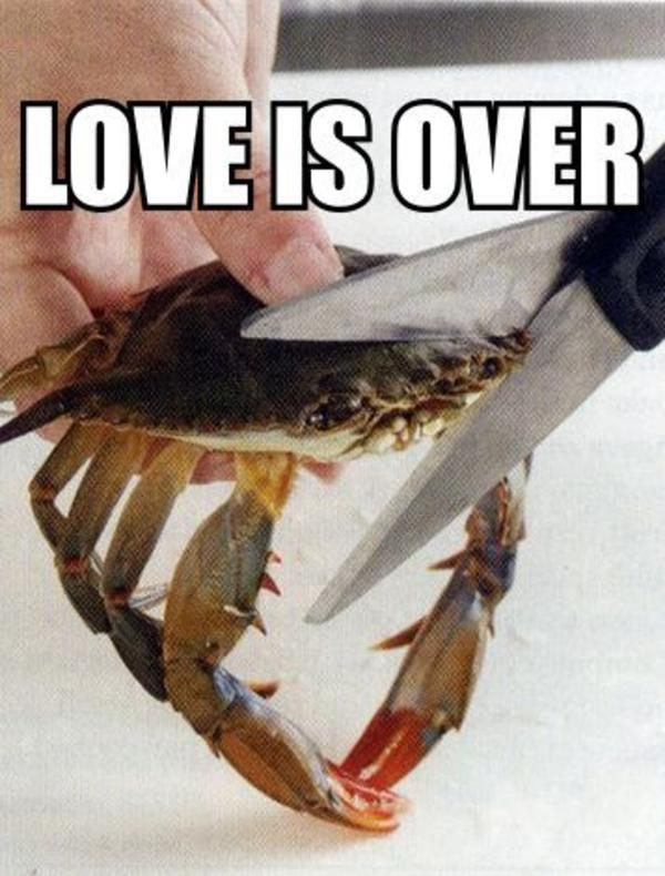 Love is over This Kills The Crab Know Your Meme