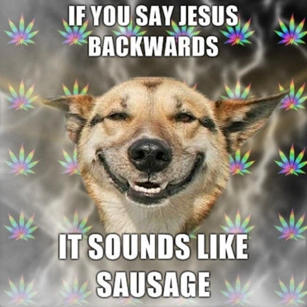 stoner dog know your meme IMJx4 stoner dog know your meme