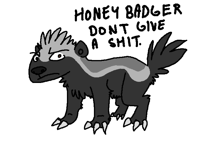 Honey badger don't care Honey Badger Know Your Meme