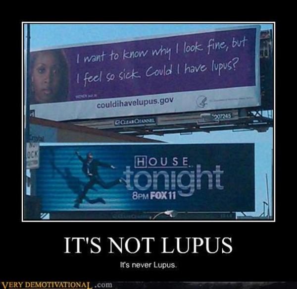 [Image 179958] It's Not Lupus Know Your Meme