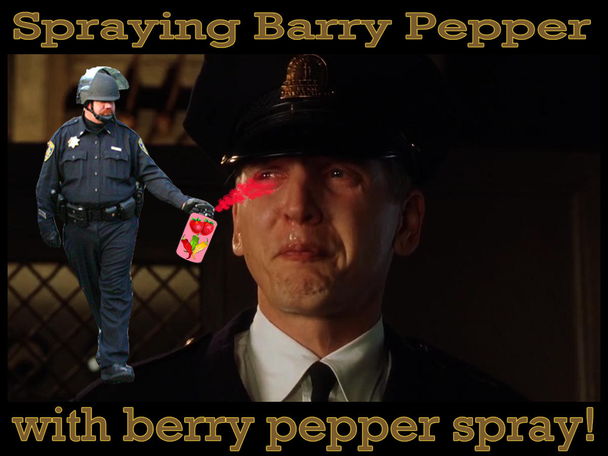 [Image 208470] Casually Pepper Spray Everything Cop Know Your Meme