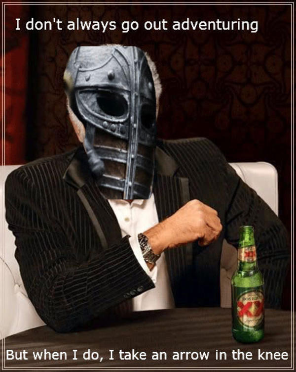 [Image 210516] I Took an Arrow in the Knee Know Your Meme