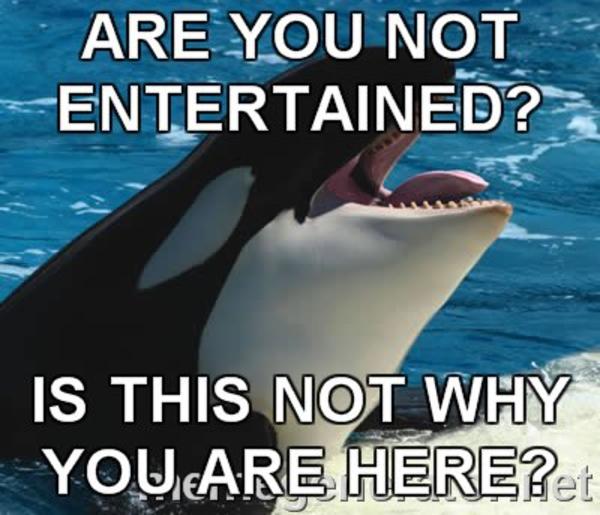 are you not entertained? know your meme t266425_ARE YOU NOT ENTERTAINED are you not entertained? know your meme