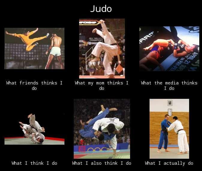 Judo What People Think I Do / What I Really Do Know Your Meme