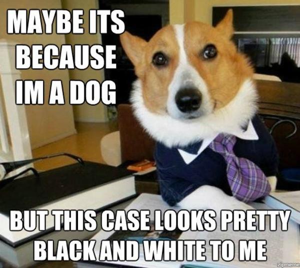 lawyer dog know your meme 3a9 lawyer dog know your meme