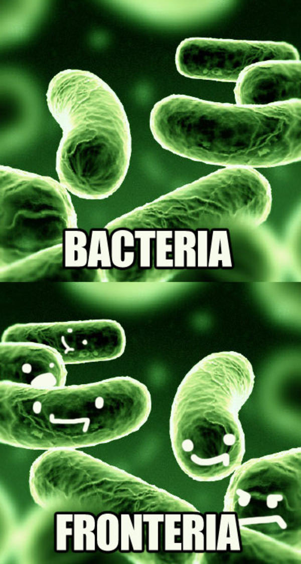 bacteria fronteria (name puns) name puns know your meme ce2 bacteria fronteria (name puns) name puns know your meme,Funny Bacteria Memes