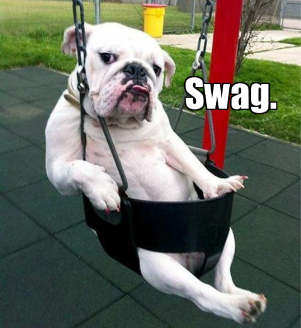 Swag Dog Swag Know Your Meme