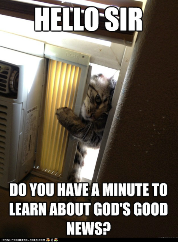 Jehova Cat | LOLcats | Know Your Meme
