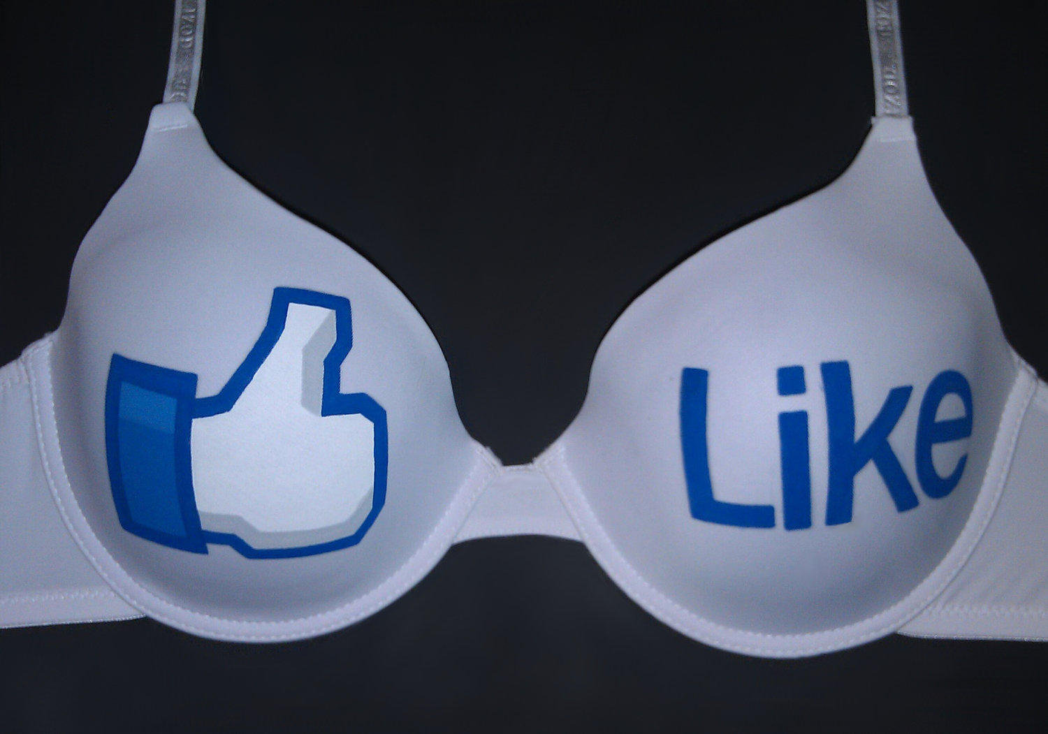 Hand Painted Facebook Like Button Bra Facebook Know Your Meme