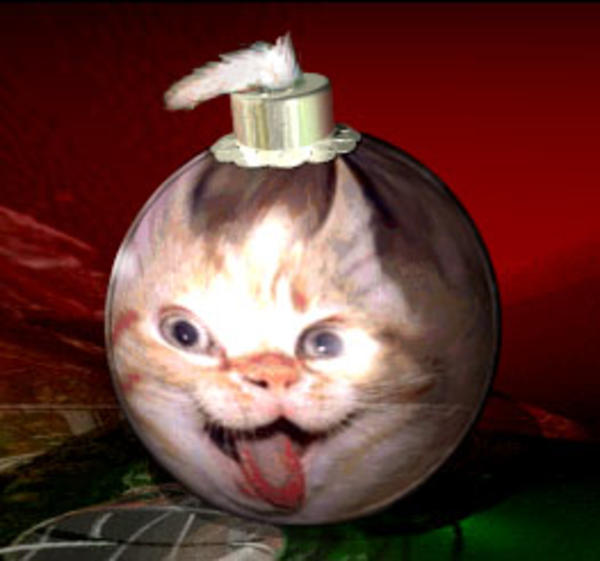 [Image 354819] Bonsai Kittens Know Your Meme