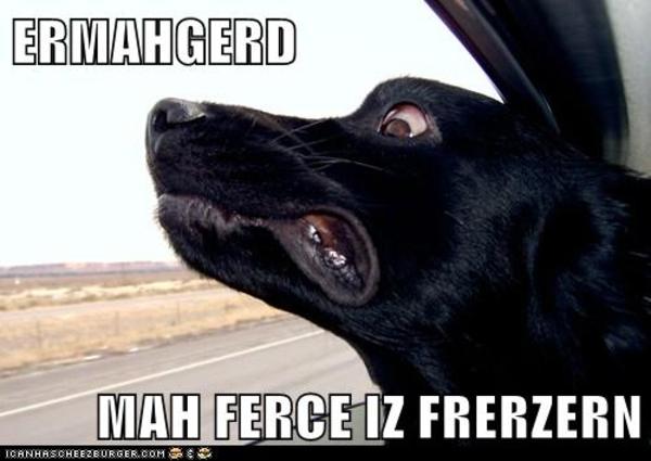 jack road face ermahgerd know your meme 32a jack road face ermahgerd know your meme