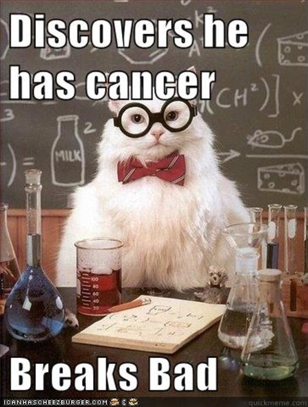 chemistry cat image gallery know your meme bab chemistry cat image gallery know your meme