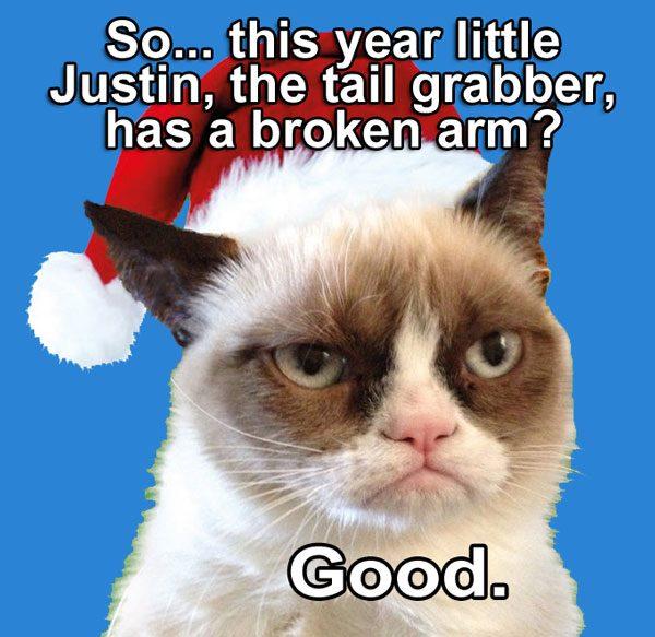[Image - 454895] | Grumpy Cat | Know Your Meme