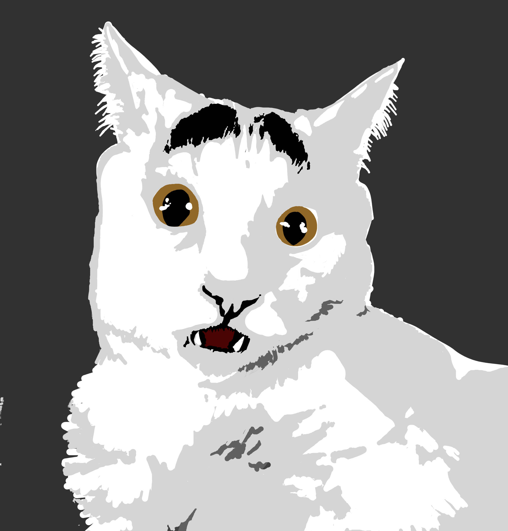 [Image 492853] Eyebrow Cat Know Your Meme