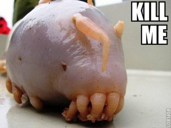 Unknown Monster Kill Me Know Your Meme